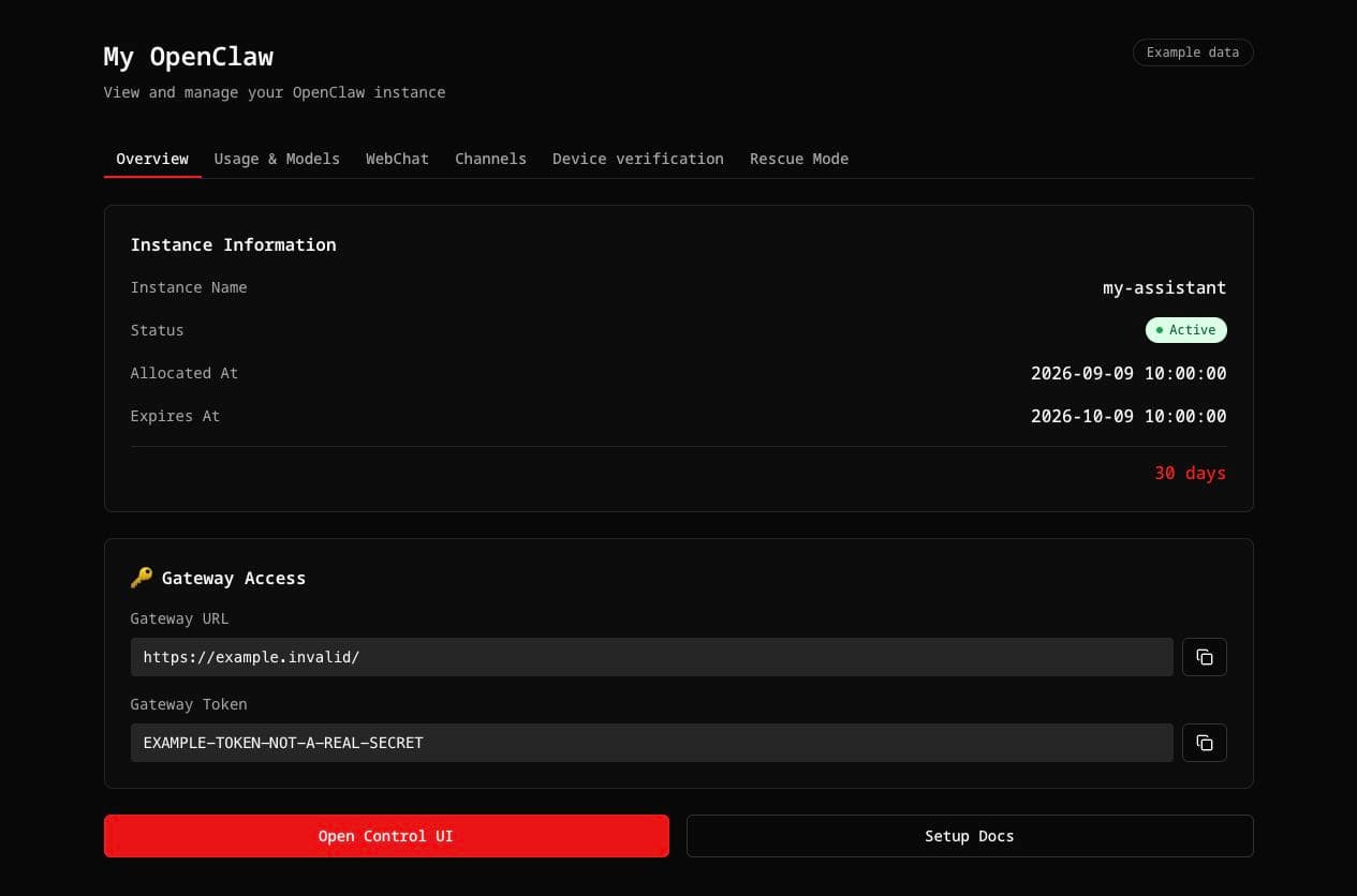 Open your instance from Overview