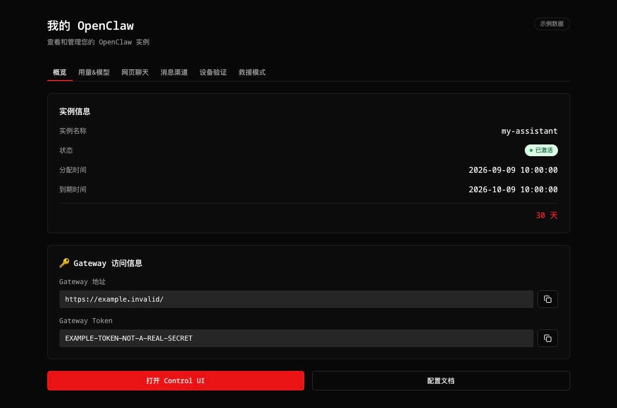 在概览中打开控制台