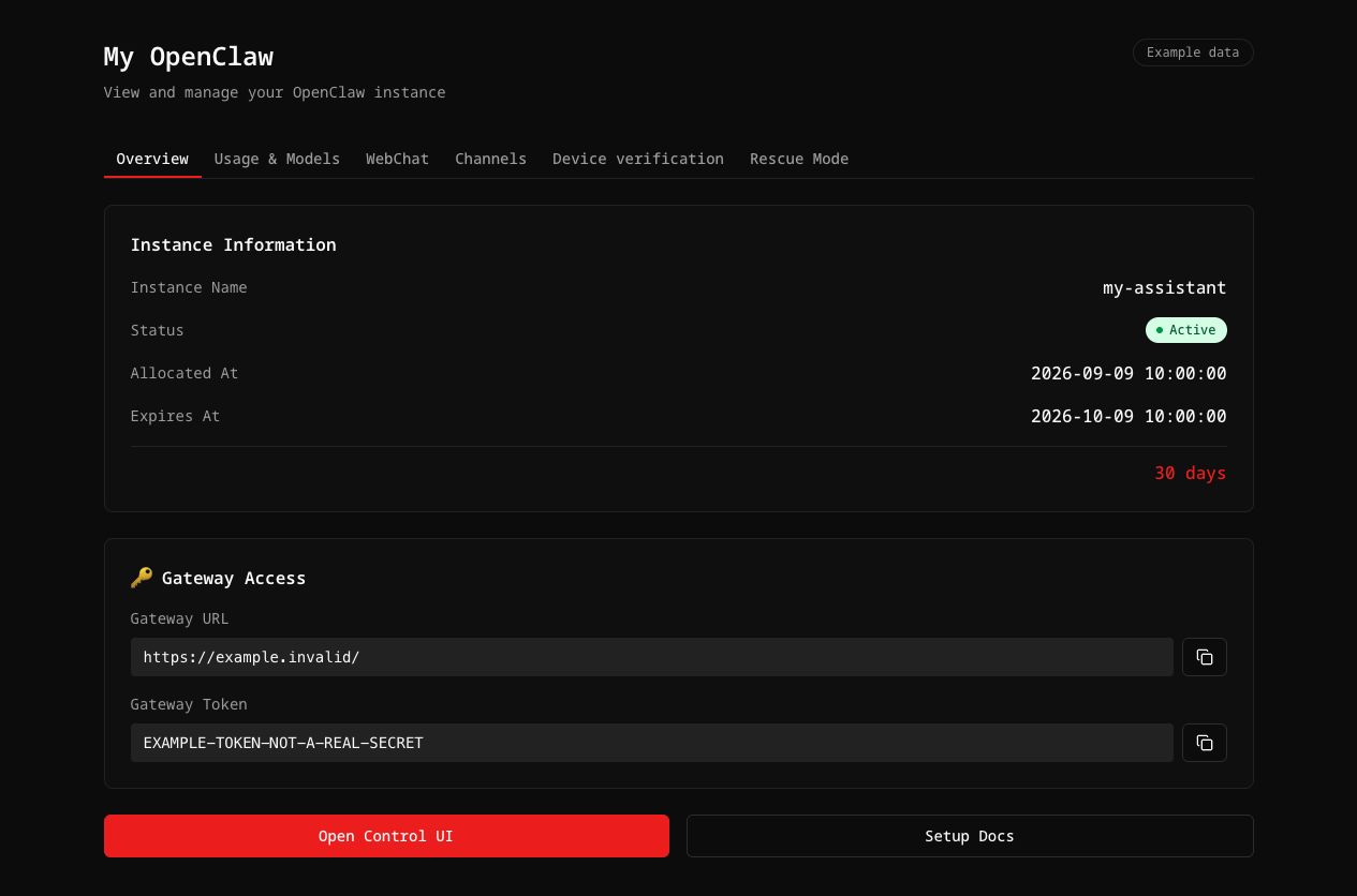 The open-claw.org dashboard showing a private OpenClaw instance, its status and gateway access (example data)
