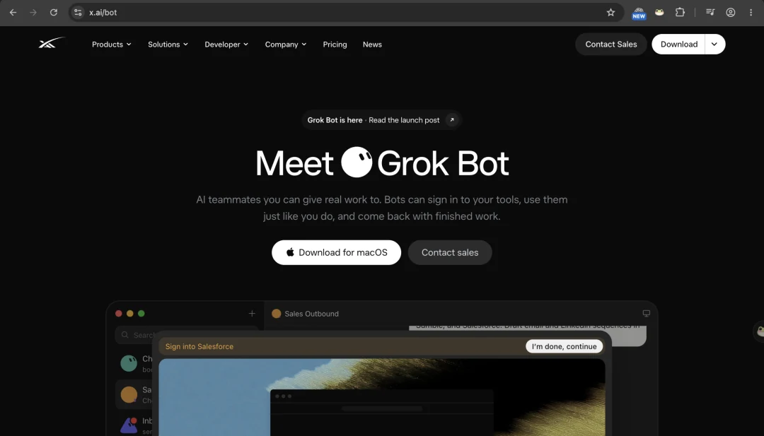 Страница x.ai/bot «Meet Grok Bot: AI teammates you can give real work to», на которую теперь ведёт dot.com